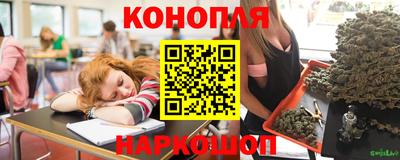 крисы Бийск