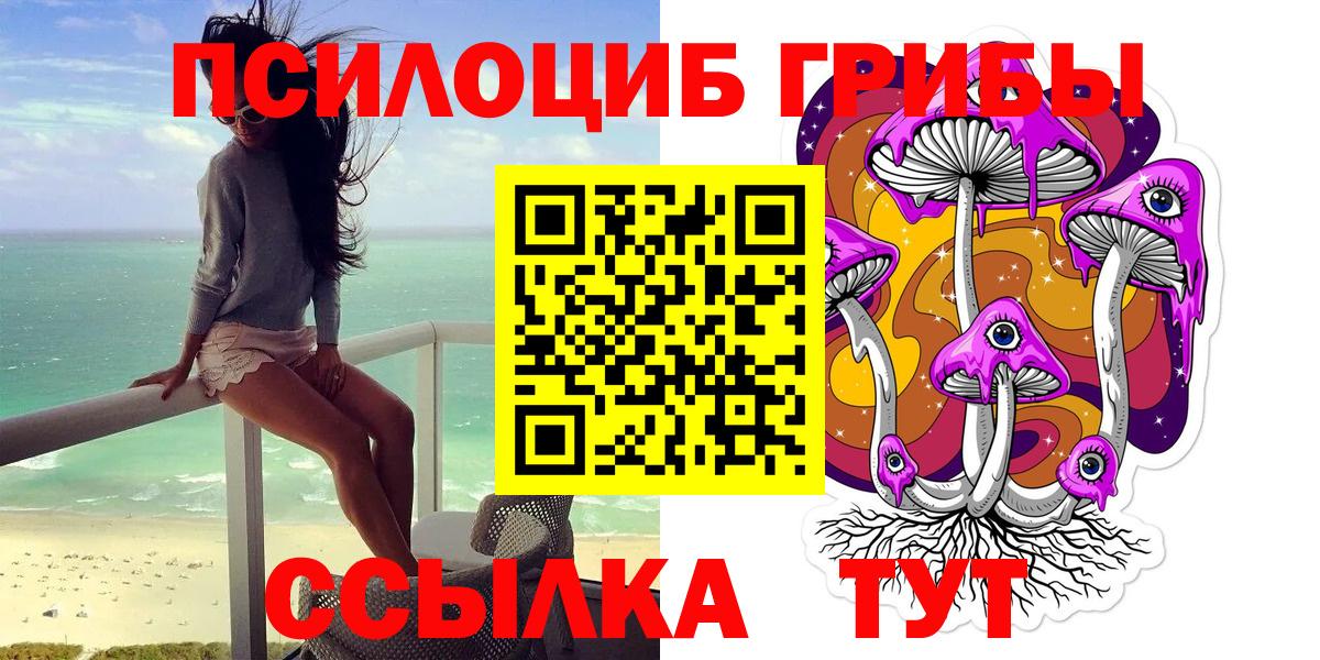 Галлюциногенные грибы Psilocybine cubensis  Вход с VPN  Псилоцибиновые грибы Cubensis  Кузнецк 
