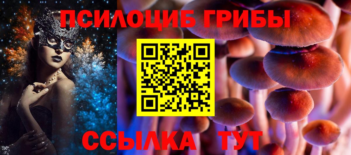 Псилоцибиновые грибы Magic Shrooms Кузнецк